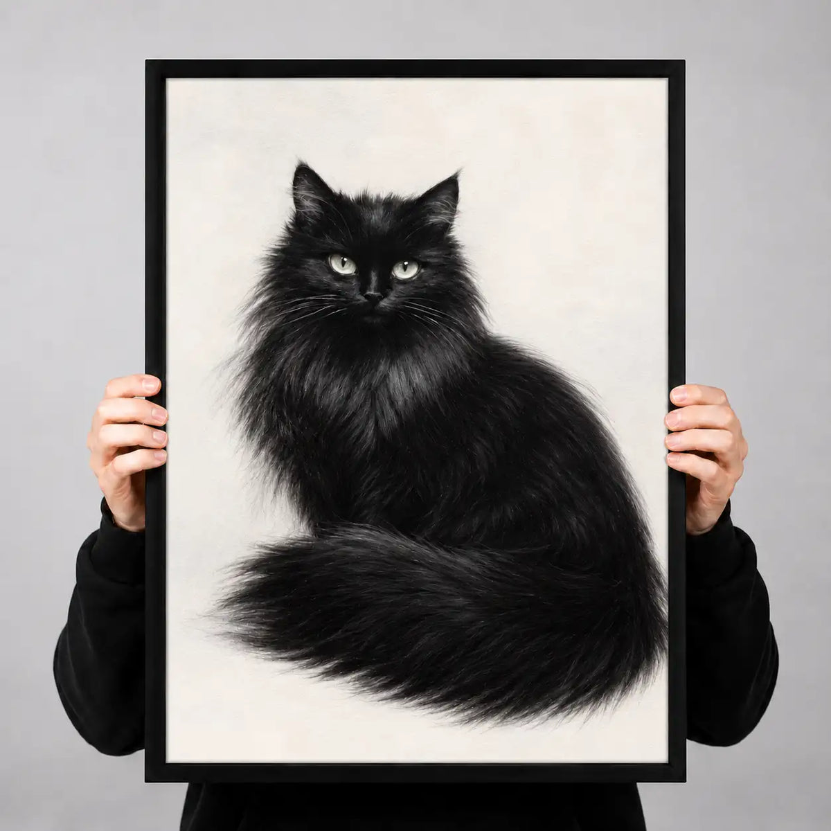Elegant Fluffy Black Cat Portrait Wall Art 3