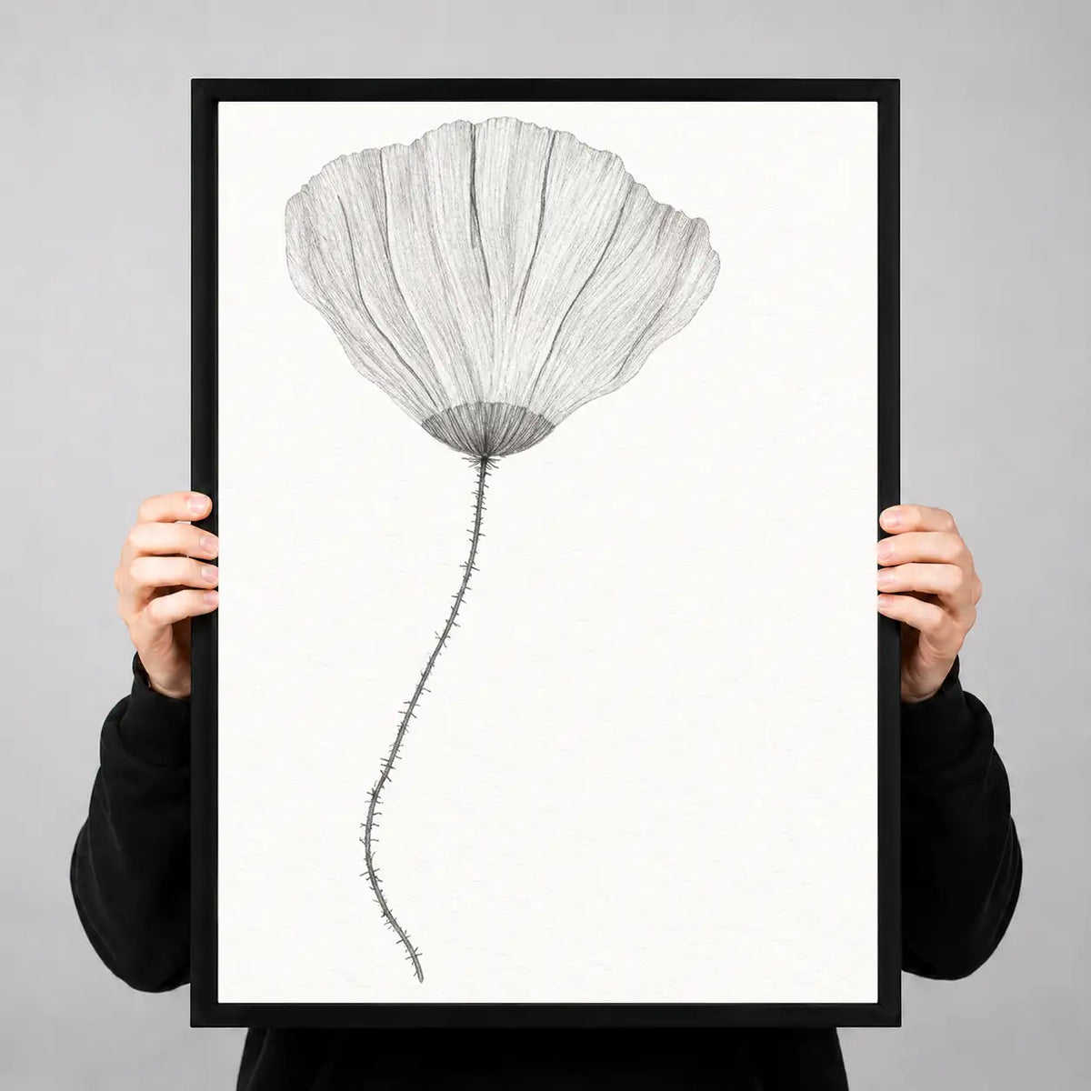 Soft Gray Poppy Botanical Wall Art 3