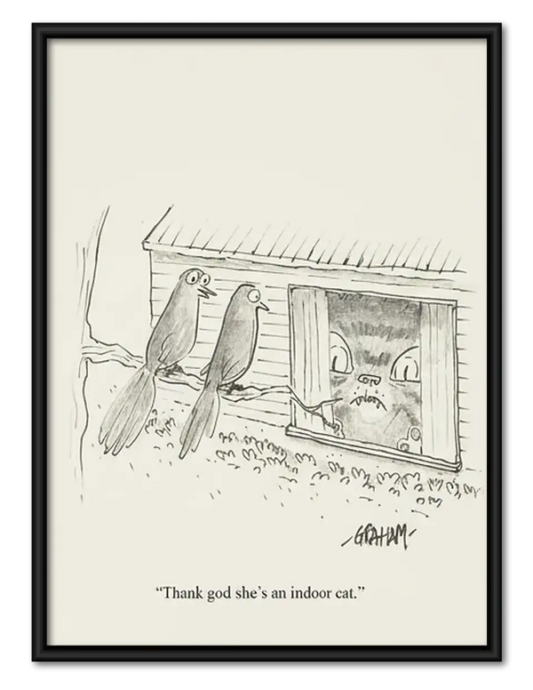 Birds Watching from Window Sketch Wall Art