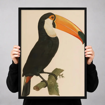 Classic Toucan Portrait Wall Art 3