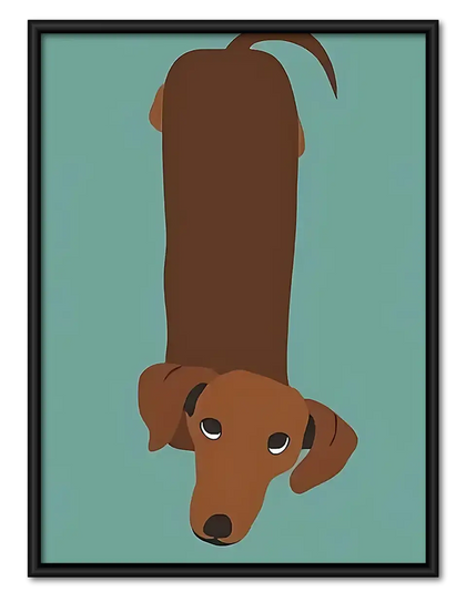 Dachshund Viewed from Above Wall Art