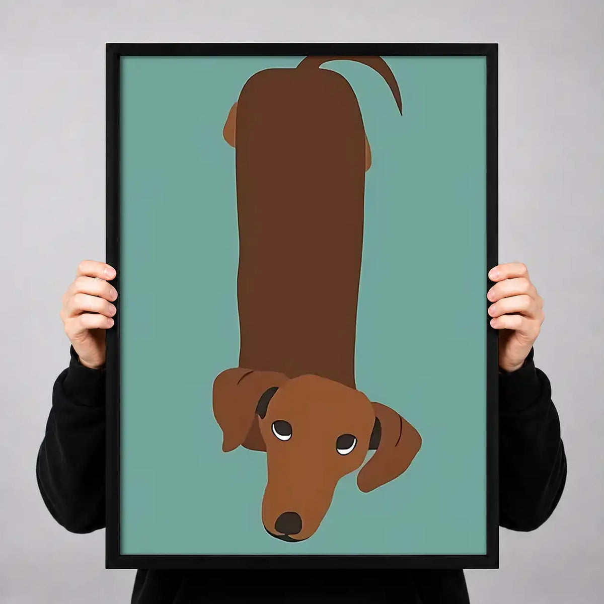 Dachshund Viewed from Above Wall Art 3