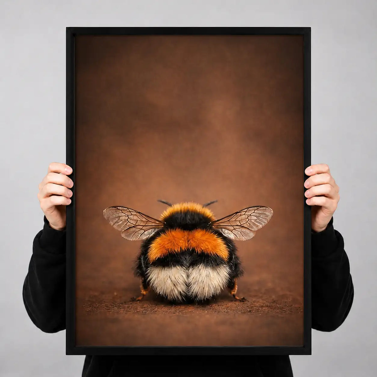 Fluffy Bumblebee Portrait Wall Art 3