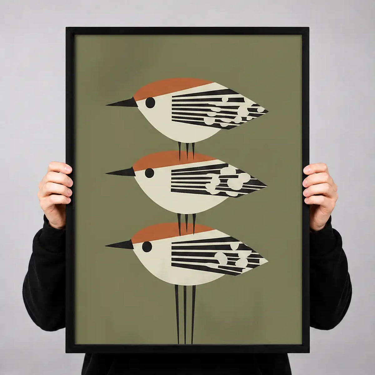 Three Mid Century Birds Wall Art 3