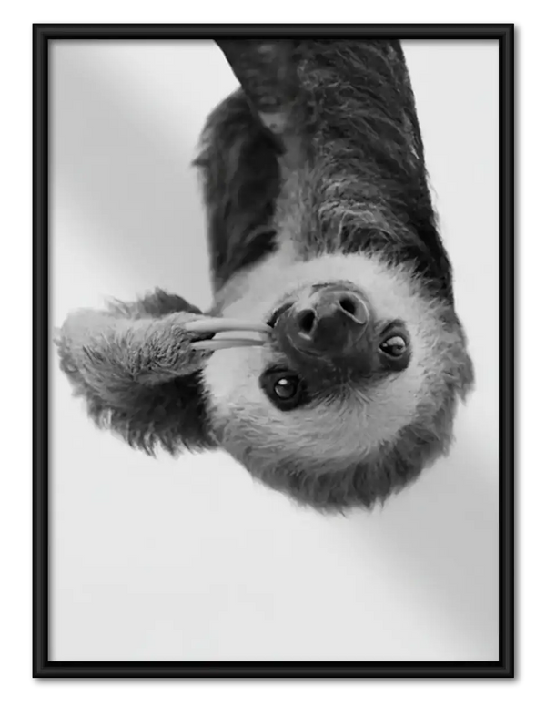 Upside Down Black and White Cat Wall Art