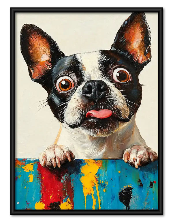 Curious Boston Terrier Wall Art
