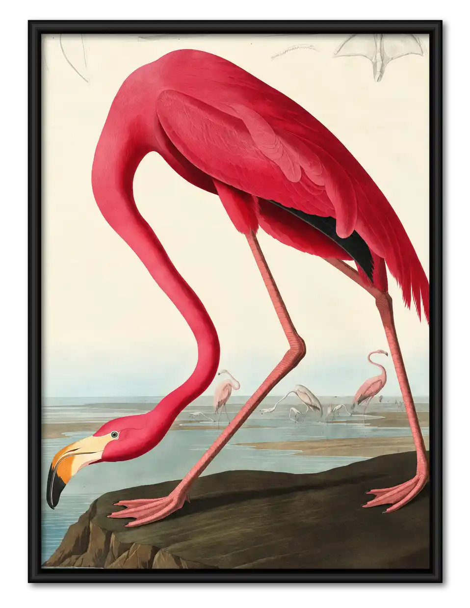 Pink Flamingo Coastal Study Wall Art 1