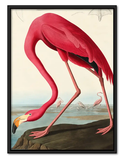 Pink Flamingo Coastal Study Wall Art