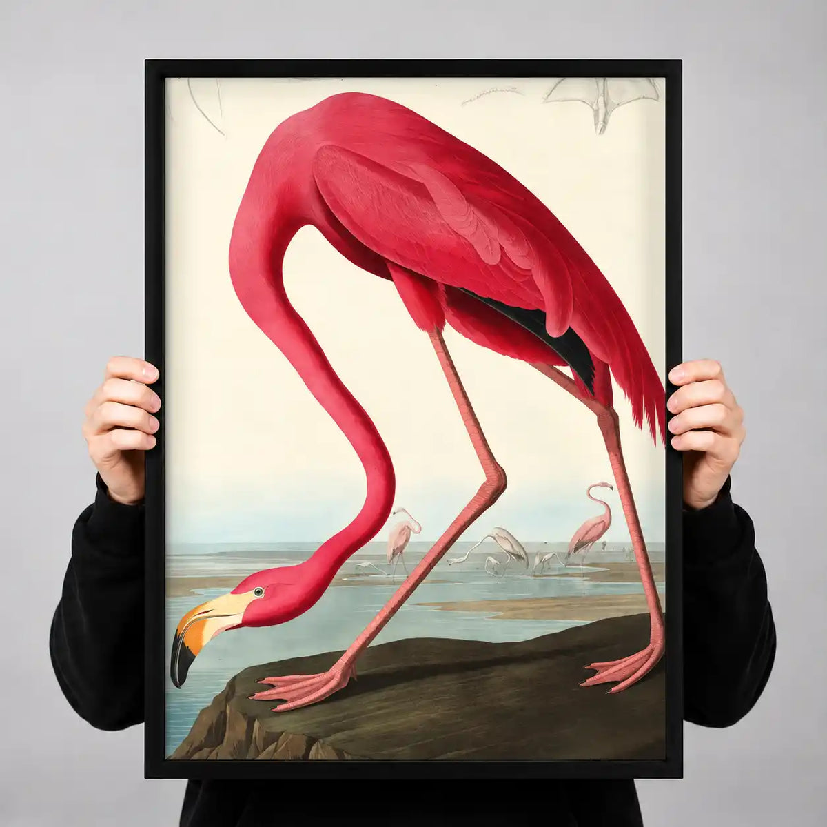 Pink Flamingo Coastal Study Wall Art 3
