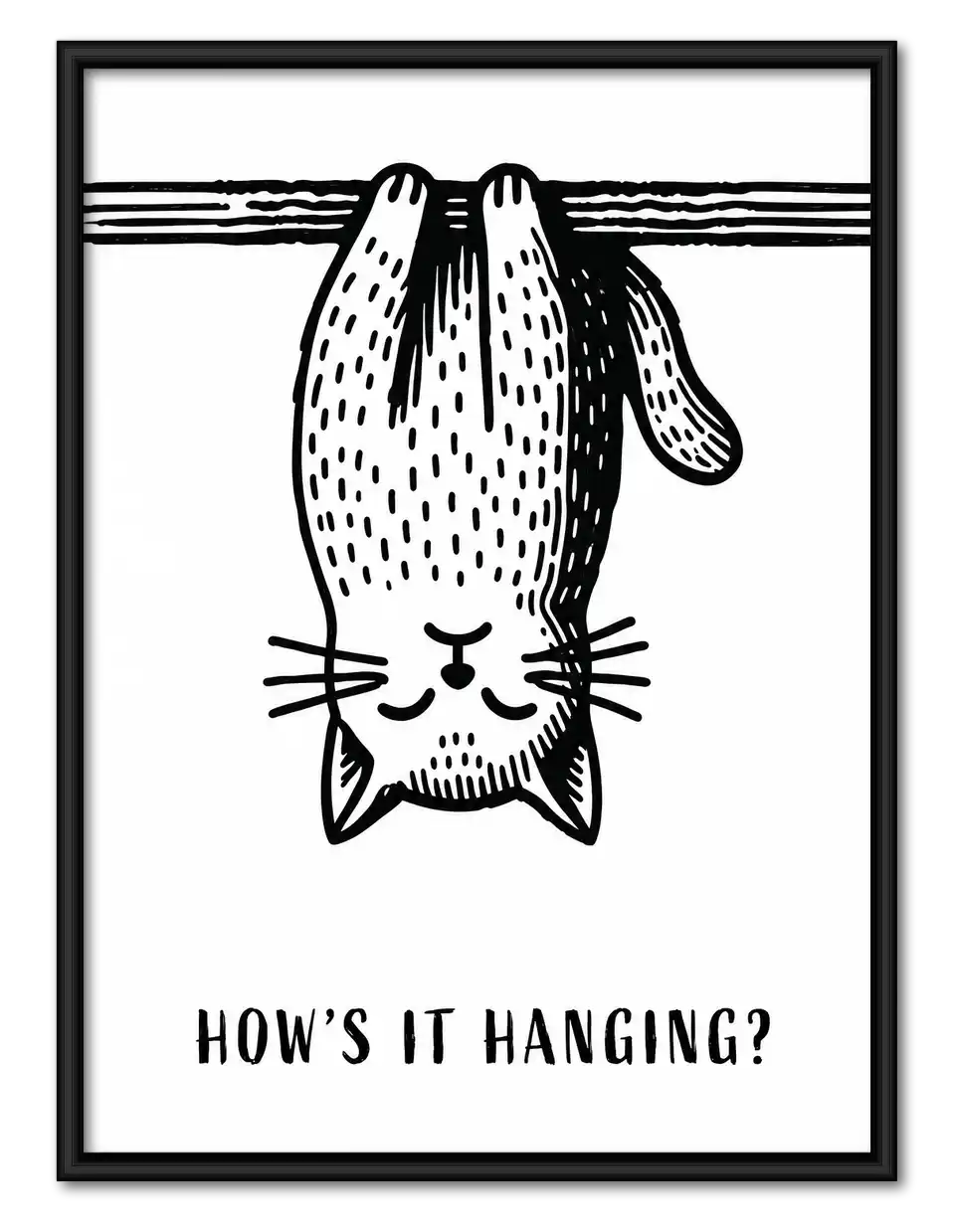 Upside Down Hanging Cat Wall Art 1