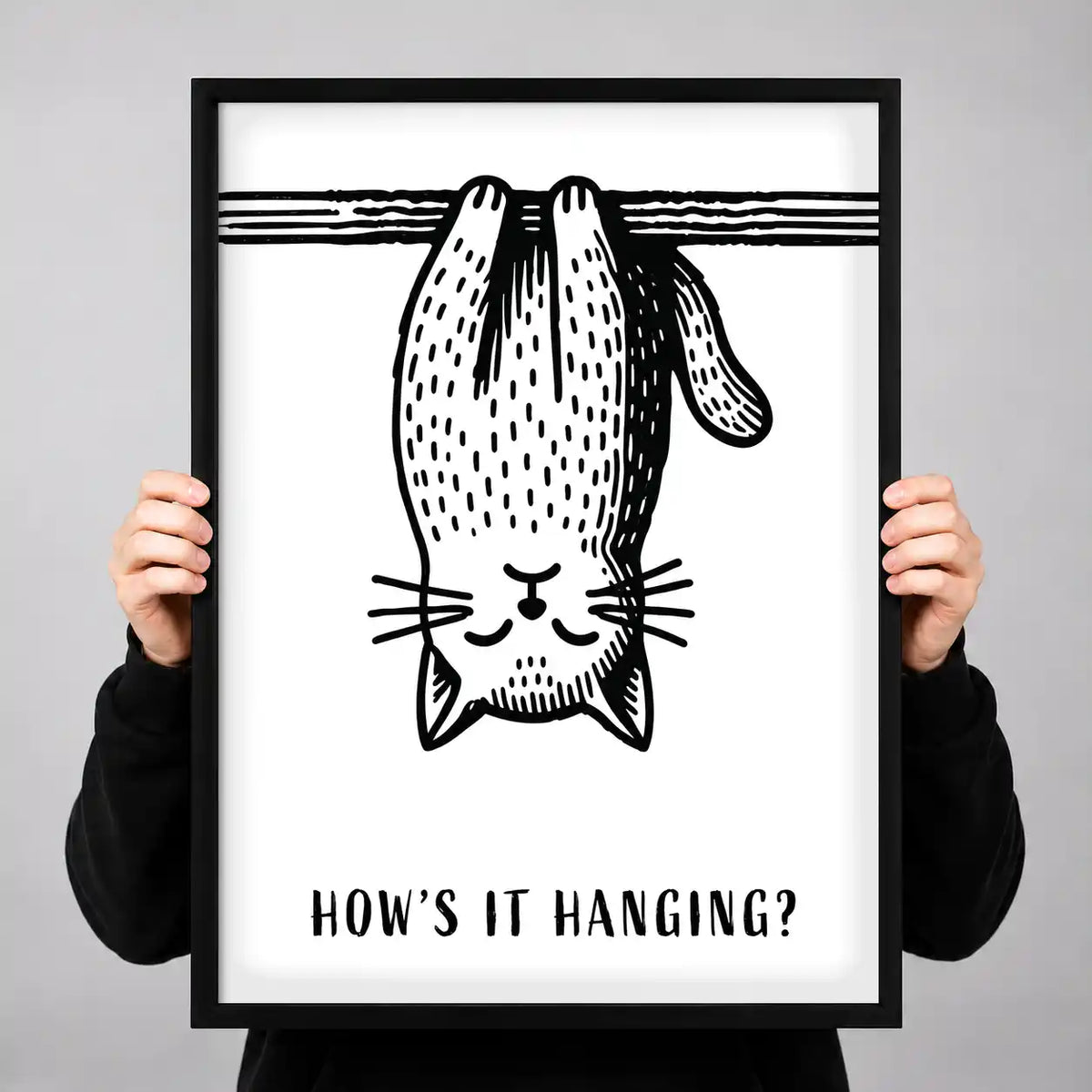 Upside Down Hanging Cat Wall Art 3