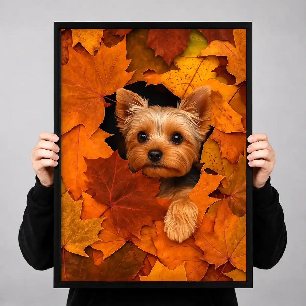 Yorkie Buried In Autumn Leaves Wall Art 3