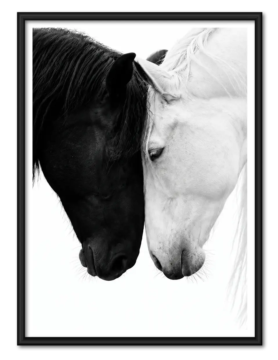 Black and White Horse Harmony Wall Art 1