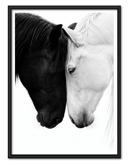 Black and White Horse Harmony Wall Art