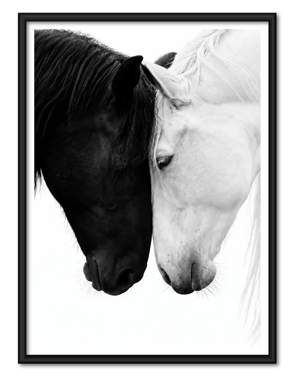 Black and White Horse Harmony Wall Art