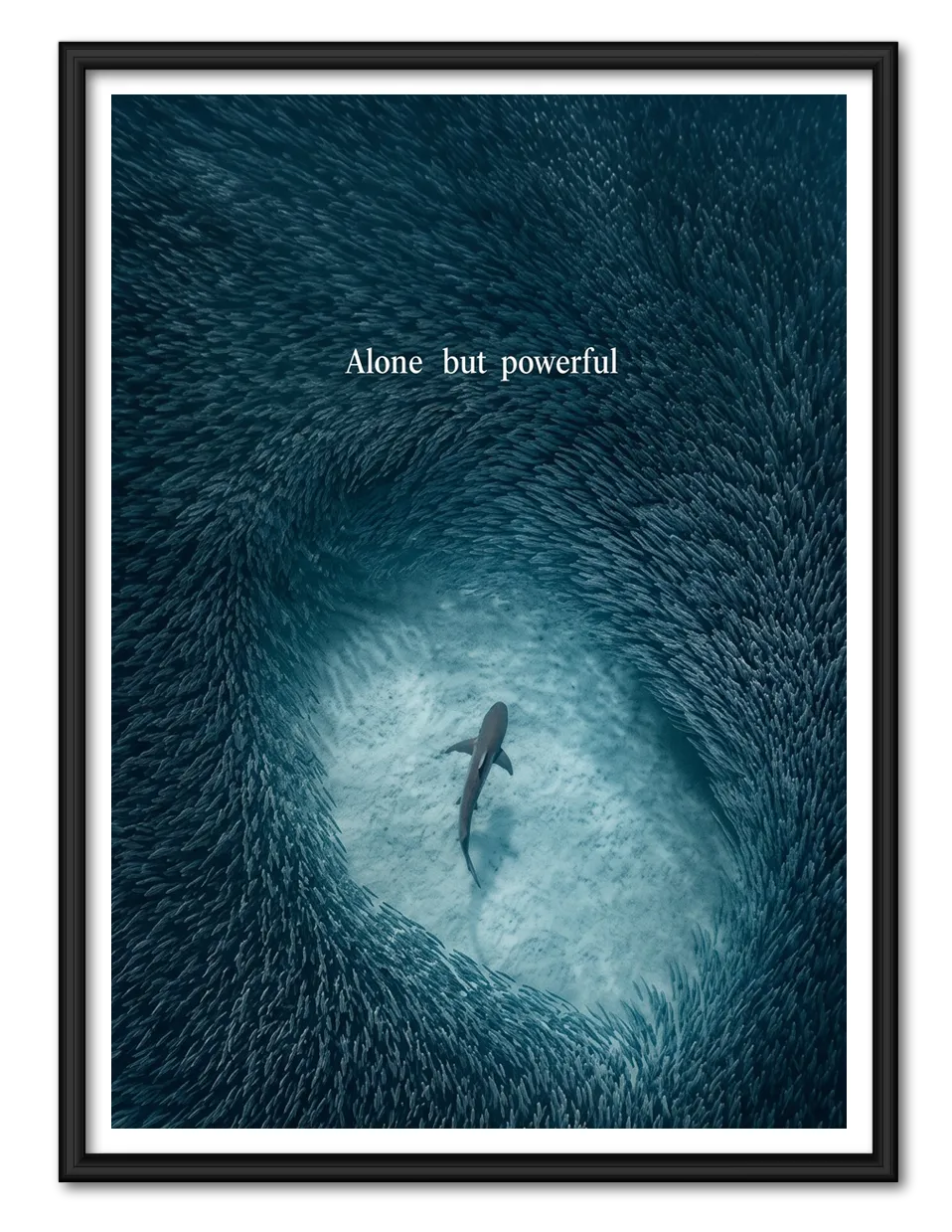 Alone but Powerful Shark Wall Art 1