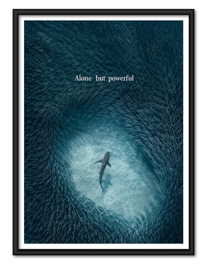 Alone but Powerful Shark Wall Art