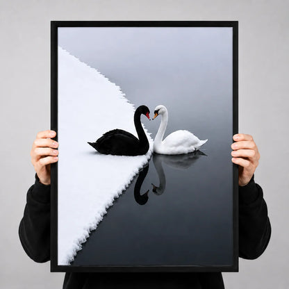 Black and White Swan Reflection Wall Art 3