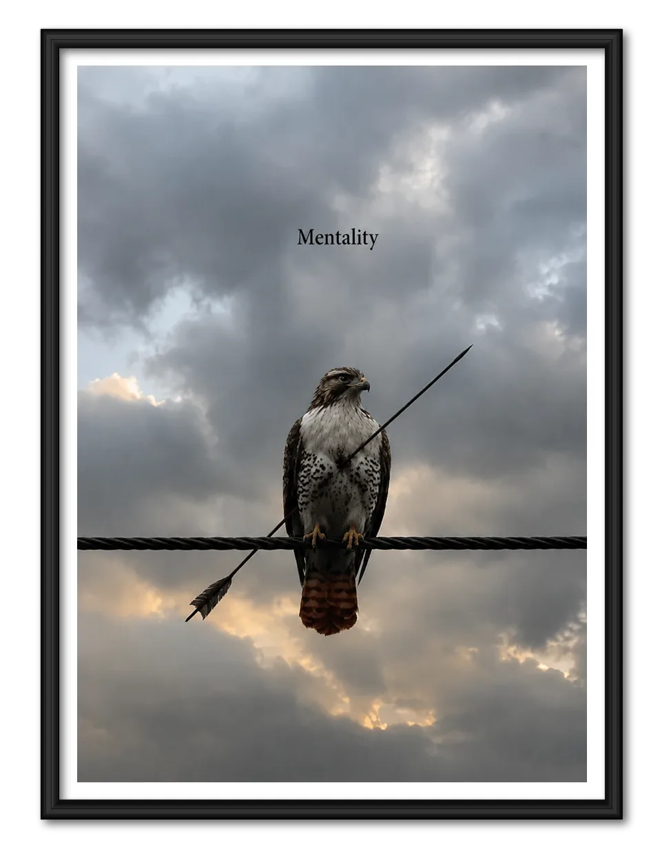 Hawk Mentality Quote Wall Art 1