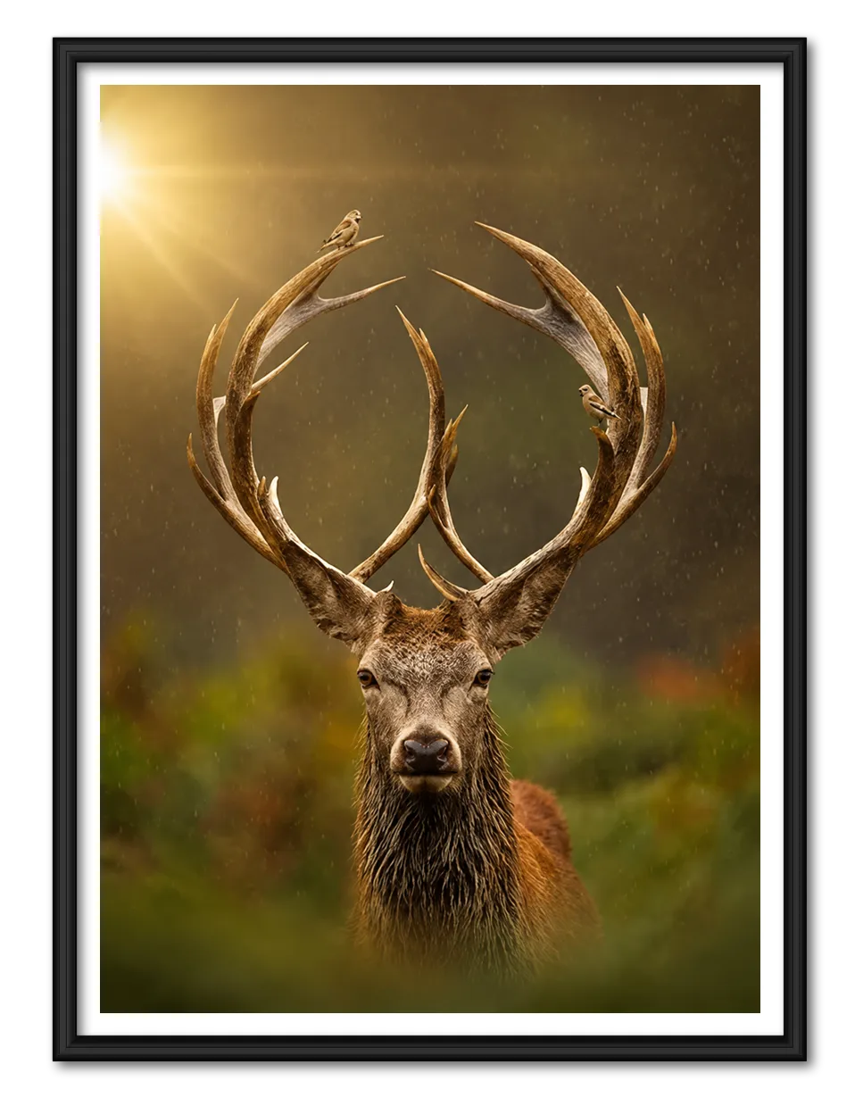 Majestic Deer Antler Nature Wall Art 1