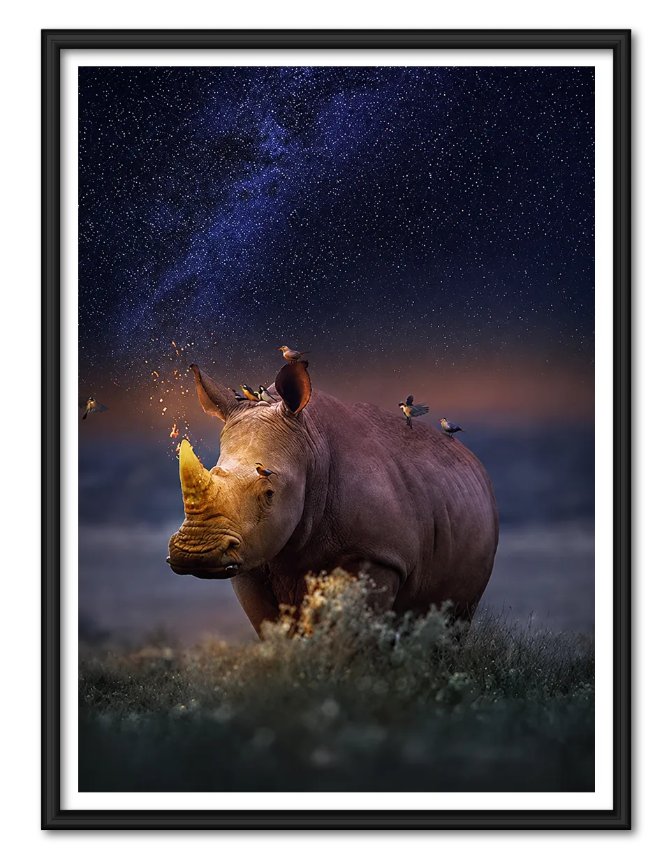 Rhino Under Starry Sky Wall Art 1