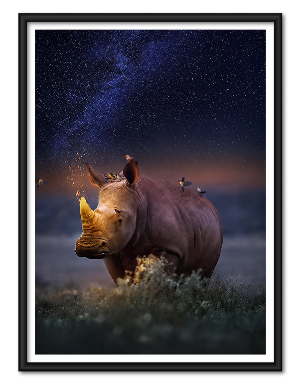 Rhino Under Starry Sky Wall Art
