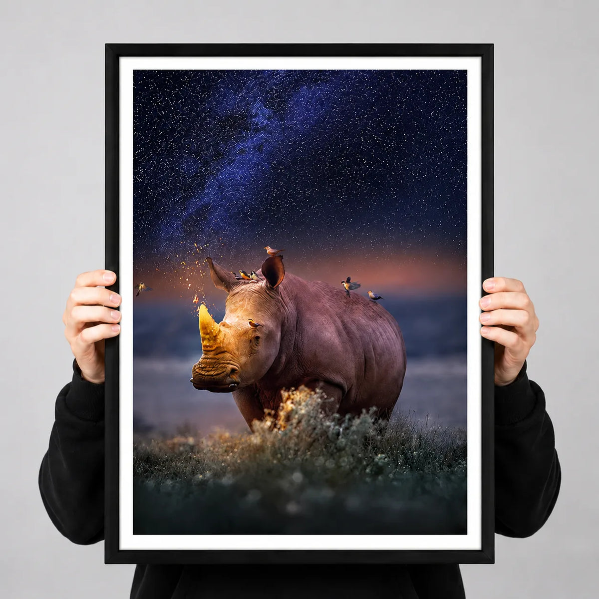 Rhino Under Starry Sky Wall Art 3
